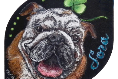 ポートレート・ブル（2019年）