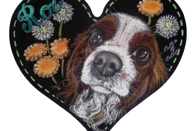 ポートレート・ボクと遊ぼうよ（2019年）