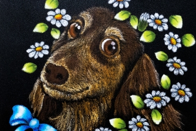 ポートレート・ワンちゃん