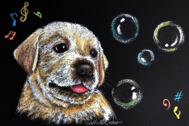 ポートレート・仔犬