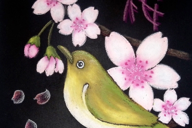 メジロとさくら