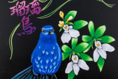 瑠璃鳥と瑠璃鳥草