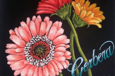 ガーベラ