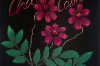 チョコレート秋桜