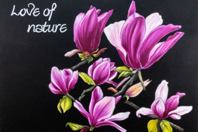 紫木蓮・花言葉（2017年）※2018年カレンダー