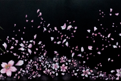 さくら・花吹雪（2019年）
