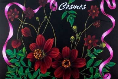 チョコレートコスモス（2017年）