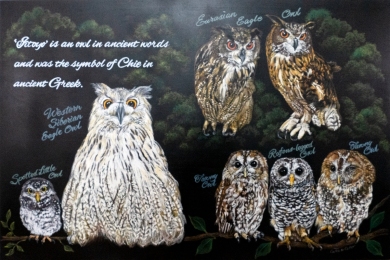 フクロウの森（2018年）