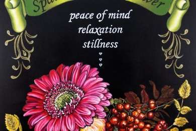 花のある場所（2013年）